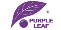 Purple Leaf coupons